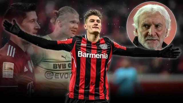 依赖野辅联 依赖野辅联