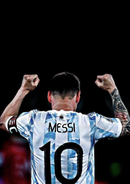 多见单对或 多见单对或